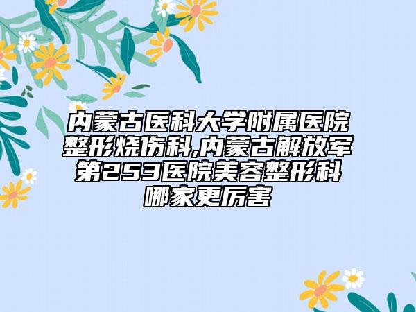 內(nèi)蒙古醫(yī)科大學(xué)附屬醫(yī)院整形燒傷科,內(nèi)蒙古解放軍第253醫(yī)院美容整形科哪家更厲害