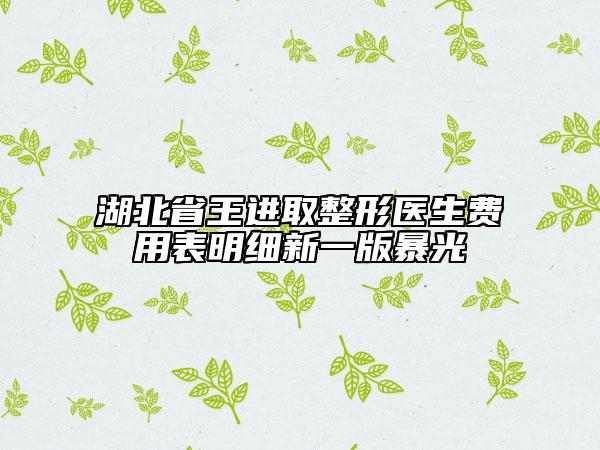 湖北省王進(jìn)取整形醫(yī)生費(fèi)用表明細(xì)新一版暴光