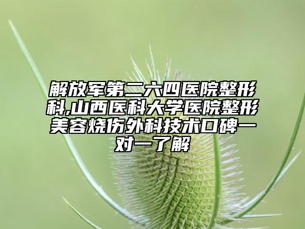 解放軍第二六四醫(yī)院整形科,山西醫(yī)科大學(xué)醫(yī)院整形美容燒傷外科技術(shù)口碑一對(duì)一了解