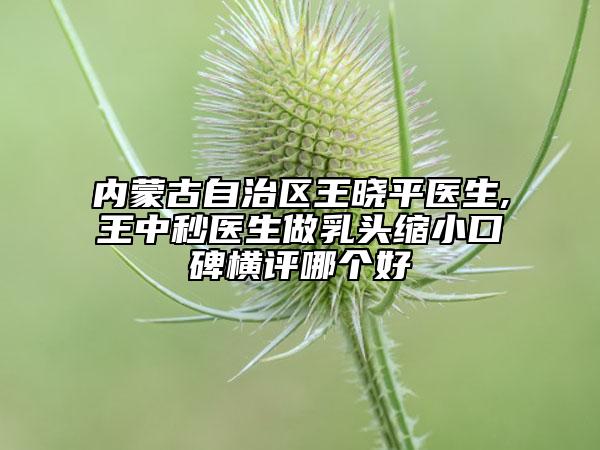 內(nèi)蒙古自治區(qū)王曉平醫(yī)生,王中秒醫(yī)生做乳頭縮小口碑橫評哪個好