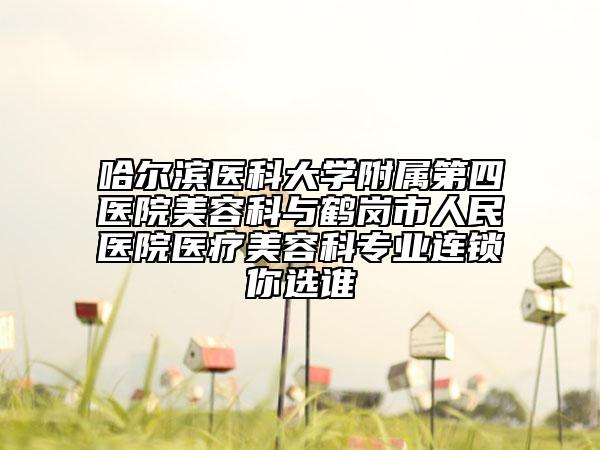 哈爾濱醫(yī)科大學(xué)附屬第四醫(yī)院美容科與鶴崗市人民醫(yī)院醫(yī)療美容科專(zhuān)業(yè)連鎖你選誰(shuí)
