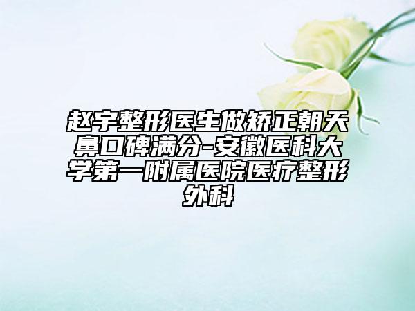 趙宇整形醫(yī)生做矯正朝天鼻口碑滿分-安徽醫(yī)科大學(xué)第一附屬醫(yī)院醫(yī)療整形外科