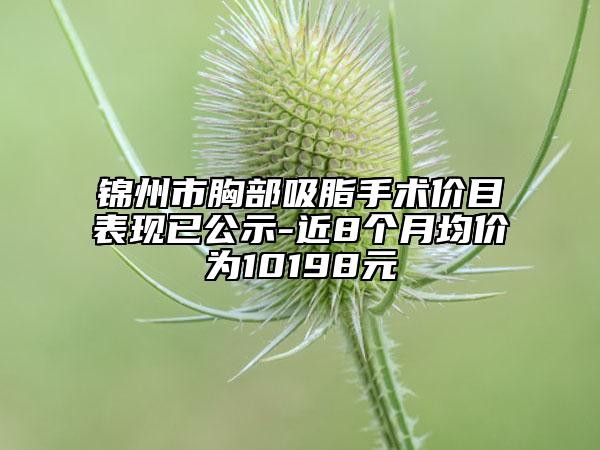 錦州市胸部吸脂手術(shù)價(jià)目表現(xiàn)已公示-近8個(gè)月均價(jià)為10198元