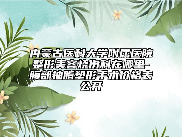 內(nèi)蒙古醫(yī)科大學(xué)附屬醫(yī)院整形美容燒傷科在哪里-腹部抽脂塑形手術(shù)價格表公開