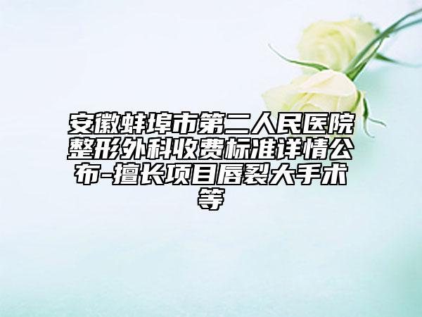 安徽蚌埠市第二人民醫(yī)院整形外科收費標(biāo)準(zhǔn)詳情公布-擅長項目唇裂大手術(shù)等