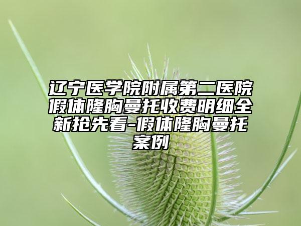 遼寧醫(yī)學(xué)院附屬第二醫(yī)院假體隆胸曼托收費(fèi)明細(xì)全新?lián)屜瓤?假體隆胸曼托案例