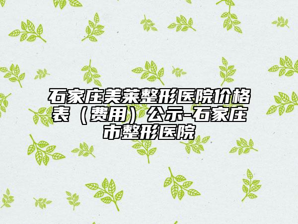 石家莊美萊整形醫(yī)院價格表（費用）公示-石家莊市整形醫(yī)院