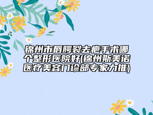 錦州市唇腭裂去疤手術(shù)哪個(gè)整形醫(yī)院好(錦州斯美諾醫(yī)療美容門(mén)診部專(zhuān)家力推)