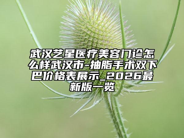 武漢藝星醫(yī)療美容門診怎么樣武漢市-抽脂手術雙下巴價格表展示_2026最新版一覽