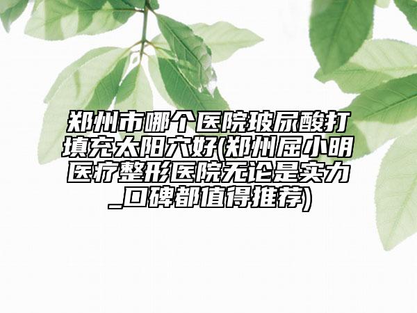 鄭州市哪個(gè)醫(yī)院玻尿酸打填充太陽穴好(鄭州屈小明醫(yī)療整形醫(yī)院無論是實(shí)力_口碑都值得推薦)