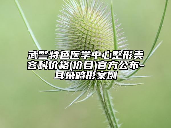 武警特色醫(yī)學(xué)中心整形美容科價(jià)格(價(jià)目)官方公布-耳朵畸形案例
