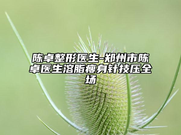 陳卓整形醫(yī)生-鄭州市陳卓醫(yī)生溶脂瘦身針技壓全場