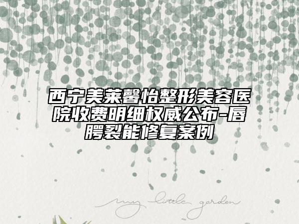 西寧美萊馨怡整形美容醫(yī)院收費明細(xì)權(quán)威公布-唇腭裂能修復(fù)案例