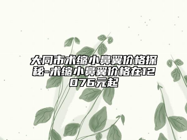 大同市術縮小鼻翼價格探秘-術縮小鼻翼價格在12076元起