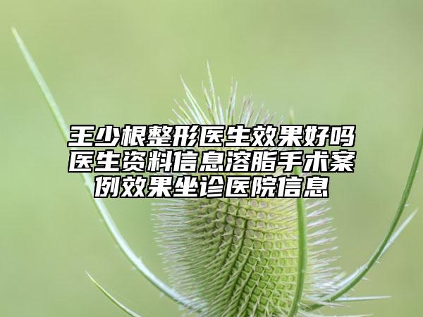 王少根整形醫(yī)生效果好嗎醫(yī)生資料信息溶脂手術案例效果坐診醫(yī)院信息