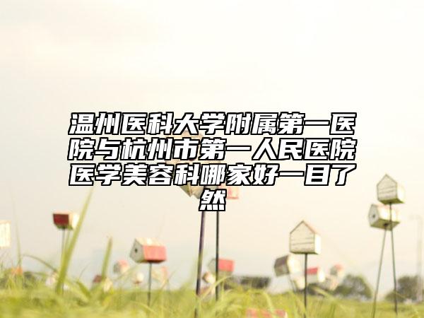 溫州醫(yī)科大學(xué)附屬第一醫(yī)院與杭州市第一人民醫(yī)院醫(yī)學(xué)美容科哪家好一目了然