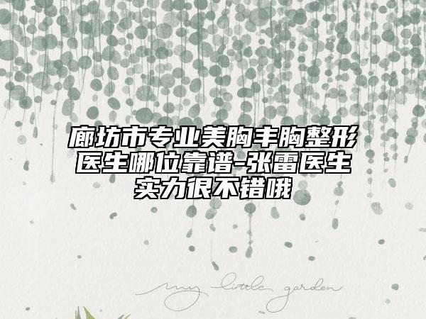 廊坊市專(zhuān)業(yè)美胸豐胸整形醫(yī)生哪位靠譜-張雷醫(yī)生實(shí)力很不錯(cuò)哦