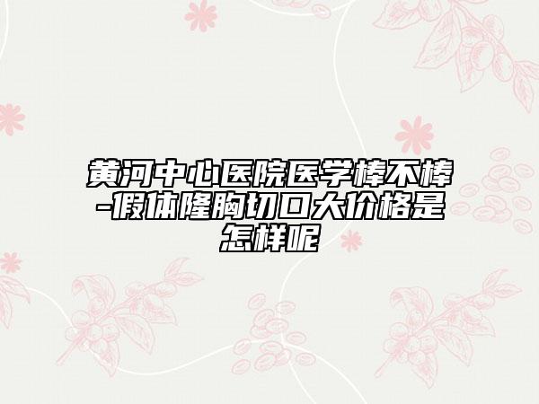 黃河中心醫(yī)院醫(yī)學(xué)棒不棒-假體隆胸切口大價格是怎樣呢