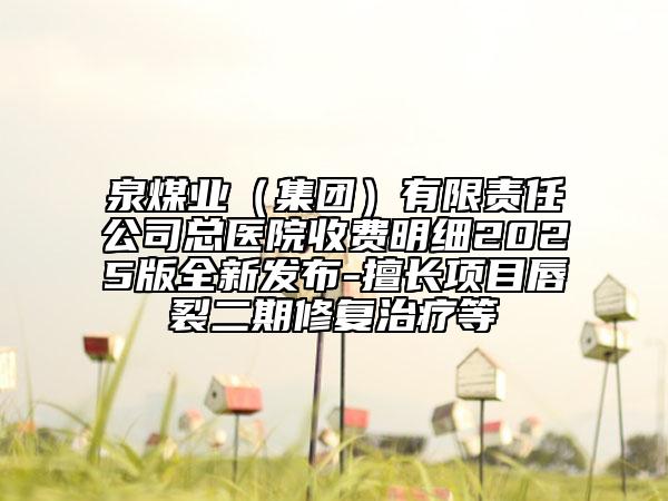 泉煤業(yè)(集團(tuán))有限責(zé)任公司總醫(yī)院收費明細(xì)2025版全新發(fā)布-擅長項目唇裂二期修復(fù)治療等