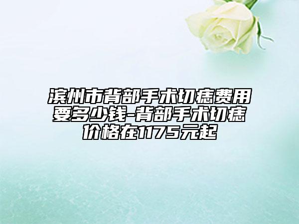 濱州市背部手術(shù)切痣費用要多少錢-背部手術(shù)切痣價格在1175元起