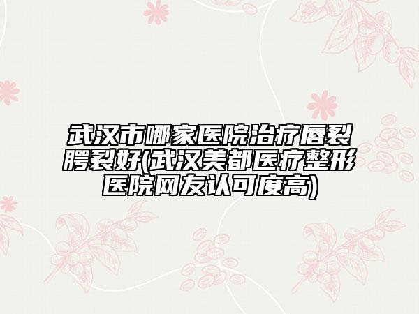 武漢市哪家醫(yī)院治療唇裂腭裂好(武漢美都醫(yī)療整形醫(yī)院網(wǎng)友認(rèn)可度高)