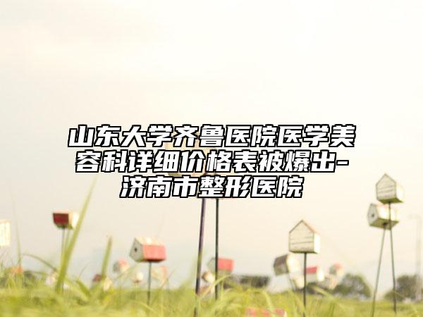 山東大學(xué)齊魯醫(yī)院醫(yī)學(xué)美容科詳細(xì)價(jià)格表被爆出-濟(jì)南市整形醫(yī)院