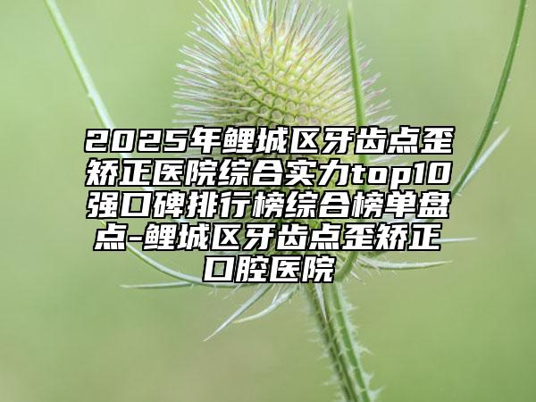 2025年鯉城區(qū)牙齒點歪矯正醫(yī)院綜合實力top10強(qiáng)口碑排行榜綜合榜單盤點-鯉城區(qū)牙齒點歪矯正口腔醫(yī)院
