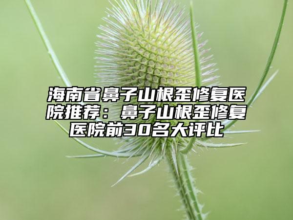 海南省鼻子山根歪修復(fù)醫(yī)院推薦：鼻子山根歪修復(fù)醫(yī)院前30名大評比