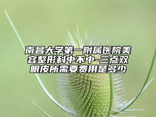 南昌大學(xué)第一附屬醫(yī)院美容整形科中不中-三點(diǎn)雙眼皮所需要費(fèi)用是多少