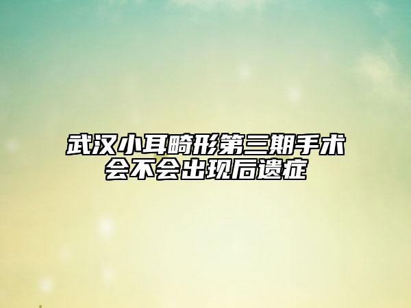 武漢小耳畸形第三期手術(shù)會(huì)不會(huì)出現(xiàn)后遺癥