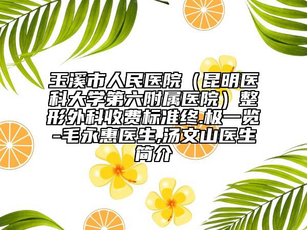 玉溪市人民醫(yī)院（昆明醫(yī)科大學(xué)第六附屬醫(yī)院）整形外科收費標(biāo)準(zhǔn)終.極一覽-毛永惠醫(yī)生,湯文山醫(yī)生簡介