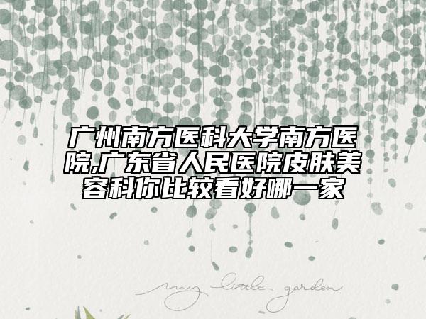 廣州南方醫(yī)科大學(xué)南方醫(yī)院,廣東省人民醫(yī)院皮膚美容科你比較看好哪一家