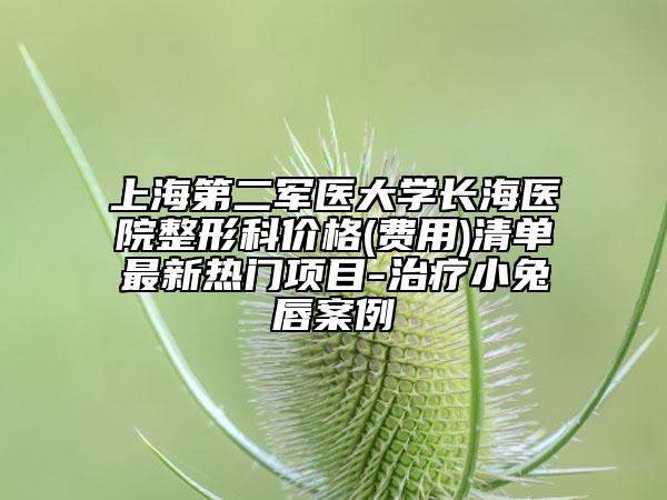 上海第二軍醫(yī)大學(xué)長海醫(yī)院整形科價格(費用)清單最新熱門項目-治療小兔唇案例
