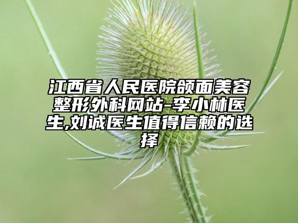 江西省人民醫(yī)院頜面美容整形外科網(wǎng)站-李小林醫(yī)生,劉誠(chéng)醫(yī)生值得信賴的選擇