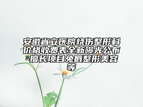 安徽省立醫(yī)院燒傷整形科價(jià)格收費(fèi)表全新曝光公布-擅長項(xiàng)目兔唇整形美容等