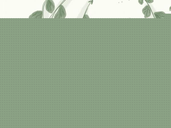 鹽城截骨矯形治療整形手術(shù)適應(yīng)什么樣的人