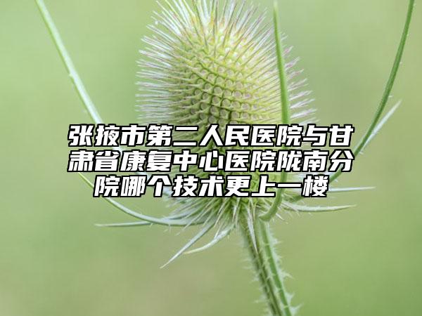 張掖市第二人民醫(yī)院與甘肅省康復(fù)中心醫(yī)院隴南分院哪個(gè)技術(shù)更上一樓
