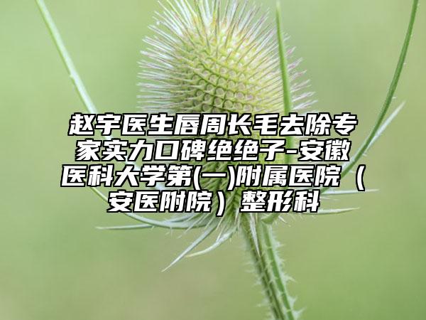 趙宇醫(yī)生唇周長(zhǎng)毛去除專家實(shí)力口碑絕絕子-安徽醫(yī)科大學(xué)第(一)附屬醫(yī)院(安醫(yī)附院)整形科