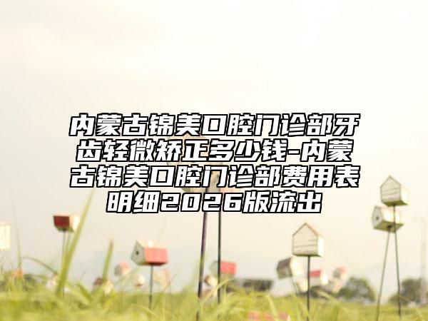 內(nèi)蒙古錦美口腔門診部牙齒輕微矯正多少錢-內(nèi)蒙古錦美口腔門診部費(fèi)用表明細(xì)2026版流出