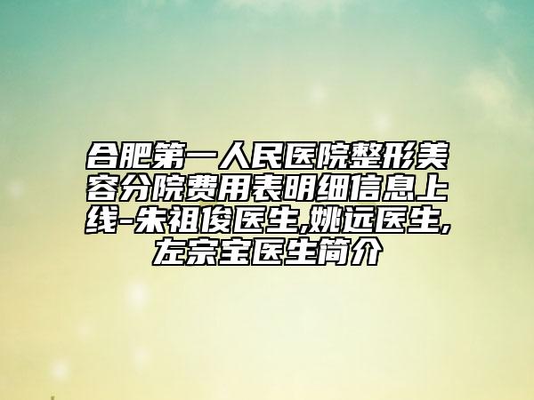 合肥第一人民醫(yī)院整形美容分院費用表明細信息上線-朱祖俊醫(yī)生,姚遠醫(yī)生,左宗寶醫(yī)生簡介