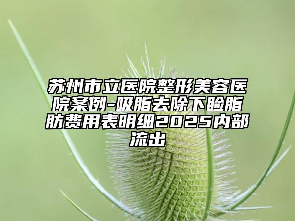蘇州市立醫(yī)院整形美容醫(yī)院案例-吸脂去除下瞼脂肪費用表明細(xì)2025內(nèi)部流出