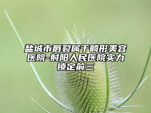 鹽城市唇裂屬于畸形美容醫(yī)院-射陽人民醫(yī)院實(shí)力鎖定前三