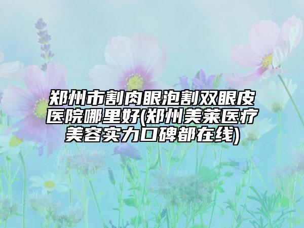 鄭州市割肉眼泡割雙眼皮醫(yī)院哪里好(鄭州美萊醫(yī)療美容實(shí)力口碑都在線)
