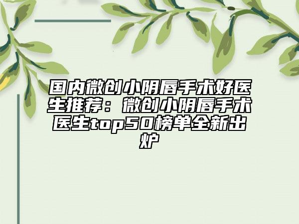 國(guó)內(nèi)微創(chuàng)小陰唇手術(shù)好醫(yī)生推薦：微創(chuàng)小陰唇手術(shù)醫(yī)生top50榜單全新出爐