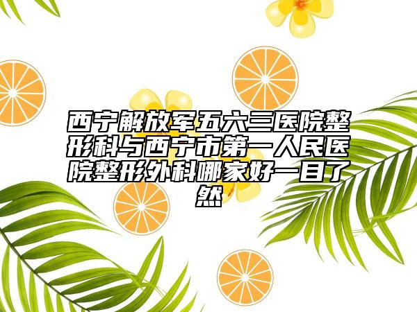 西寧解放軍五六三醫(yī)院整形科與西寧市第一人民醫(yī)院整形外科哪家好一目了然