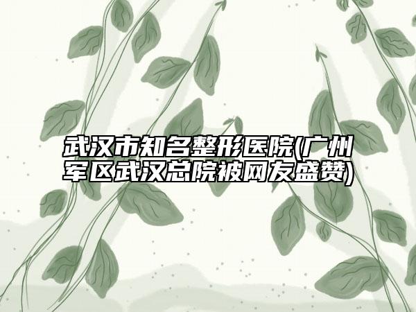 武漢市知名整形醫(yī)院(廣州軍區(qū)武漢總院被網(wǎng)友盛贊)