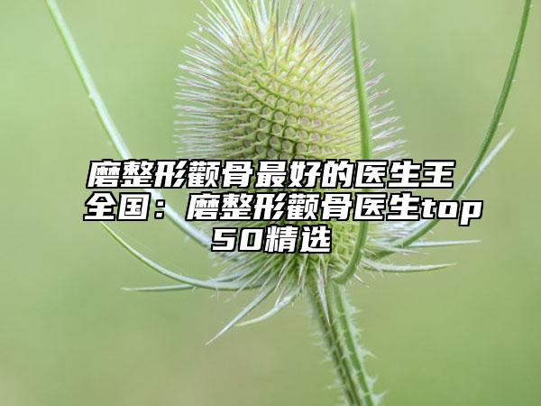 磨整形顴骨最好的醫(yī)生王全國:磨整形顴骨醫(yī)生top50精選