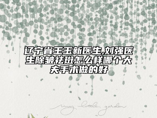 遼寧省王玉新醫(yī)生,劉強醫(yī)生除皺祛斑怎么樣哪個大夫手術做的好