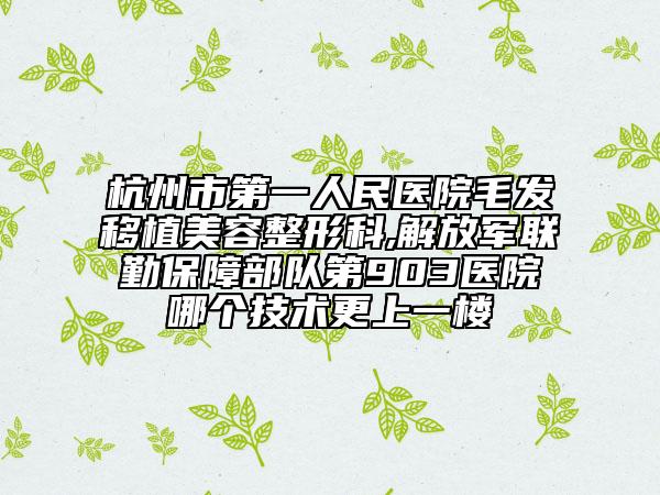 杭州市第一人民醫(yī)院毛發(fā)移植美容整形科,解放軍聯(lián)勤保障部隊(duì)第903醫(yī)院哪個技術(shù)更上一樓