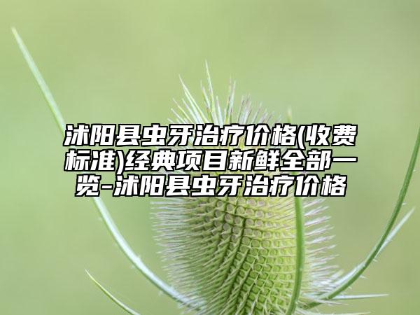 沭陽(yáng)縣蟲牙治療價(jià)格(收費(fèi)標(biāo)準(zhǔn))經(jīng)典項(xiàng)目新鮮全部一覽-沭陽(yáng)縣蟲牙治療價(jià)格